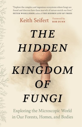 The Hidden …