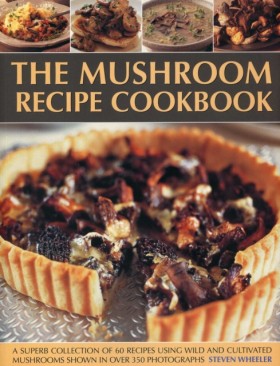 Mushroom R …