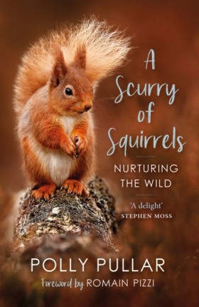 A Scurry o …