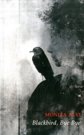 Blackbird, &hellip;