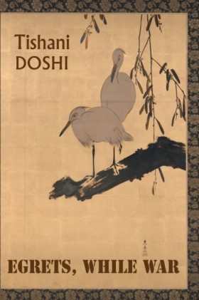 Egrets, Wh …