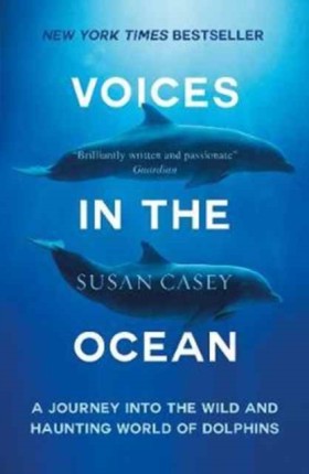 Voices in &hellip;