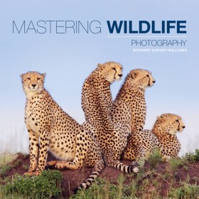 Mastering …