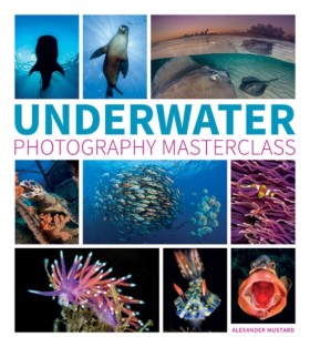 Underwater …