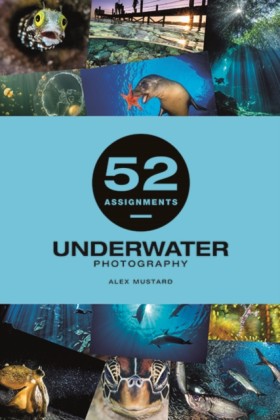 52 Assignm &hellip;