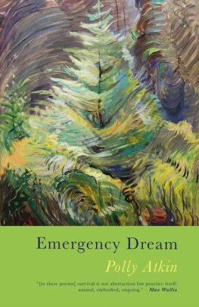 Emergency …