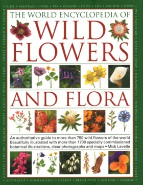 Wild Flowe &hellip;