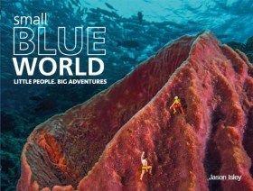 Small Blue …