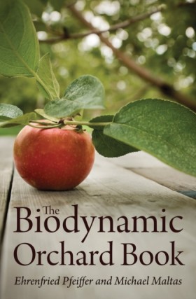 The Biodyn &hellip;