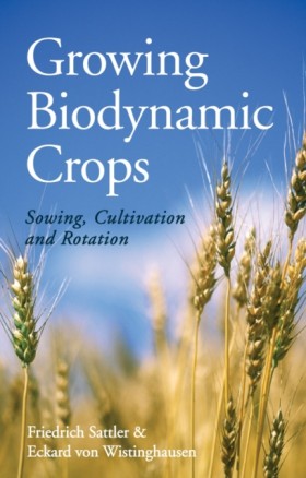Growing Bi …