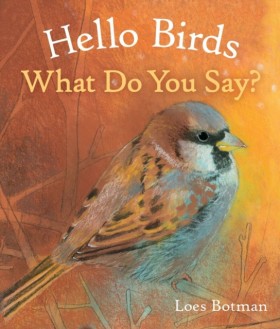 Hello Bird …
