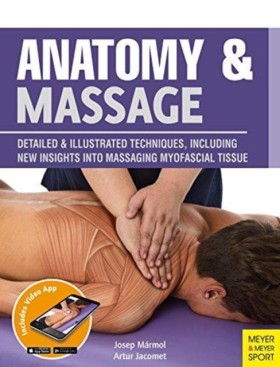 Anatomy & …