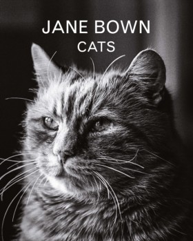 Jane Bown: &hellip;