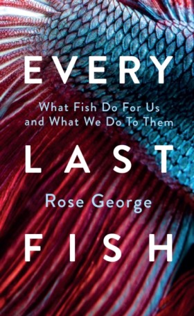 Every Last &hellip;