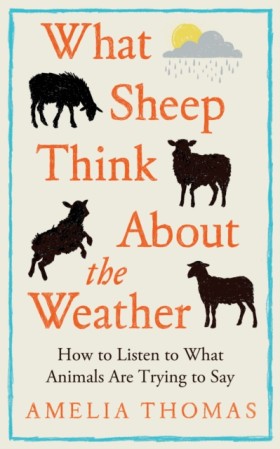 What Sheep &hellip;