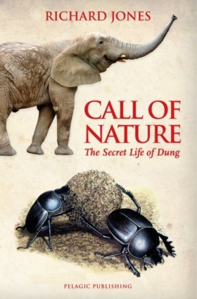 Call of Na …
