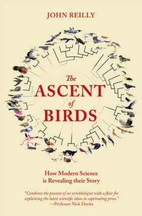 The Ascent &hellip;