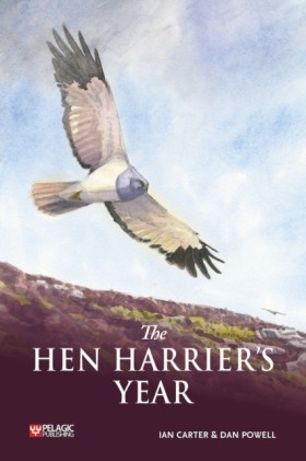 The Hen Ha …