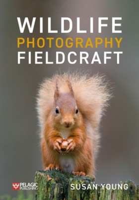 Wildlife P &hellip;