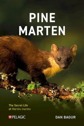 Pine Marte &hellip;