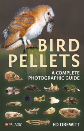 Bird Pelle &hellip;