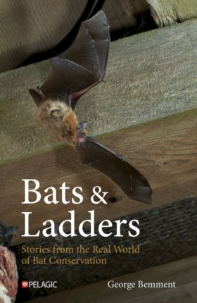 Bats & Lad &hellip;