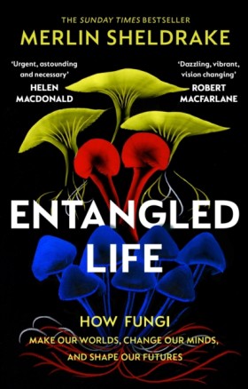 Entangled …