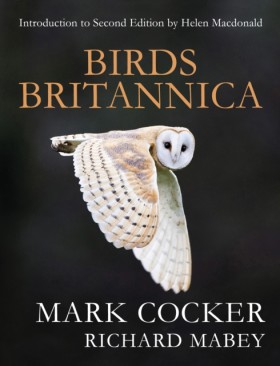 Birds Brit &hellip;