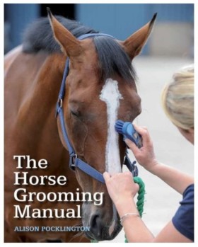The Horse …
