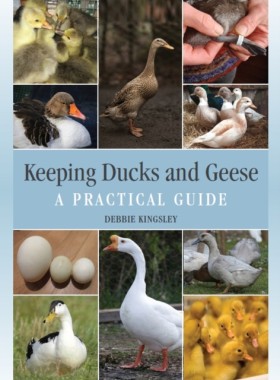 Keeping Du &hellip;