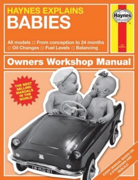 Haynes Exp …