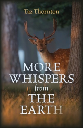 More Whisp &hellip;