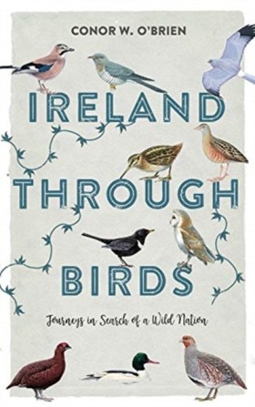 Ireland Th …