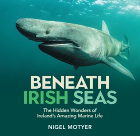 Beneath Ir &hellip;