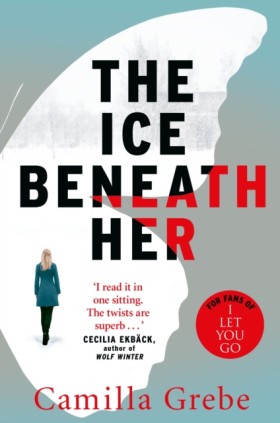 The Ice Be &hellip;