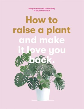 How to Rai …
