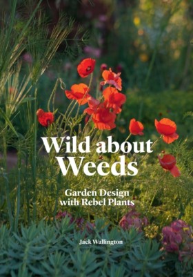 Wild about &hellip;