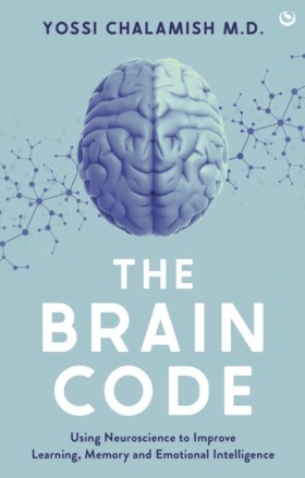 The Brain …