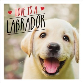 Love is a …