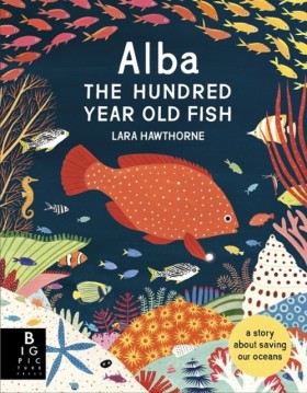 Alba the H …