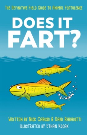 Does It Fa &hellip;