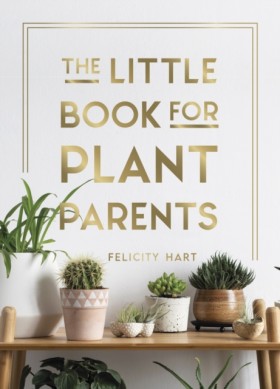 The Little &hellip;