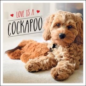 Love is a …