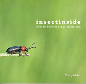 Insectinsi …