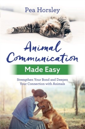 Animal Com …