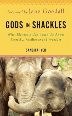 Gods in Sh …