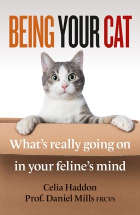 Being Your &hellip;