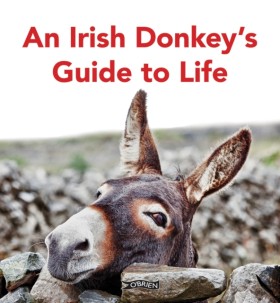 An Irish D &hellip;