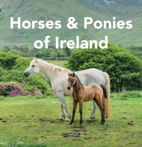 Horses and …