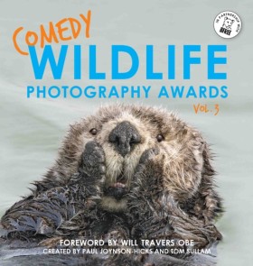Comedy Wil …